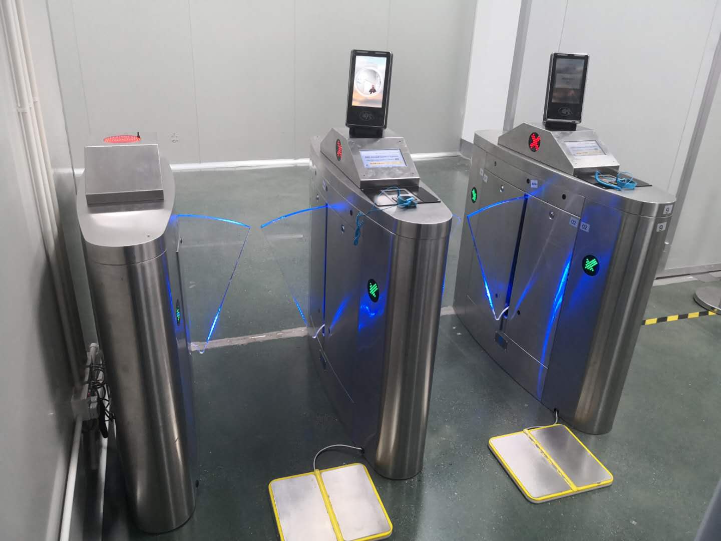 ĘR(sh)eESDTϵy(tng)